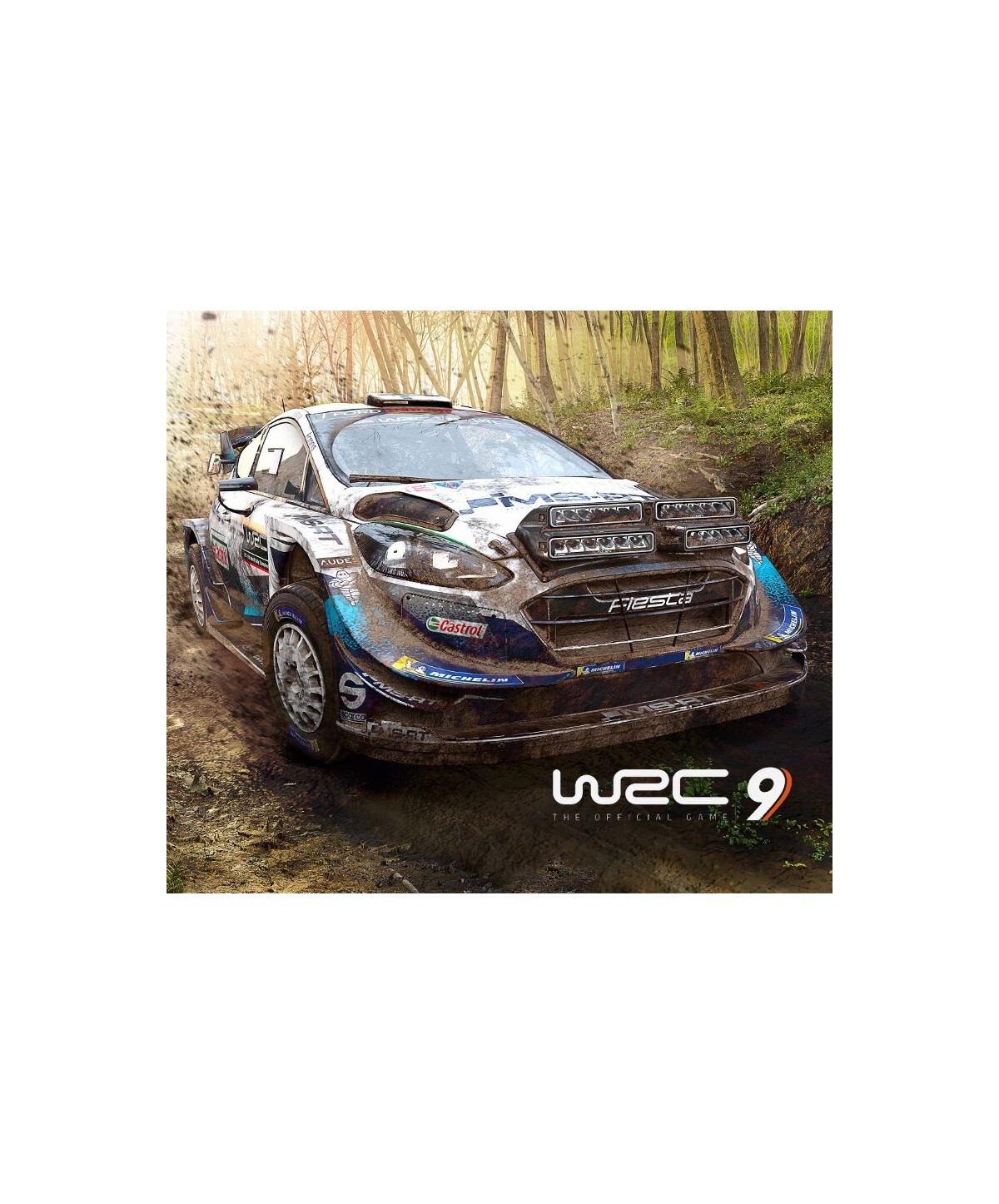 WRC 9 FIA World Rally Championship Steam Key EUROPE